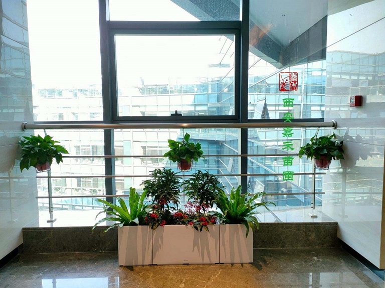 西安綠植租賃效果圖|嘉禾苗圃