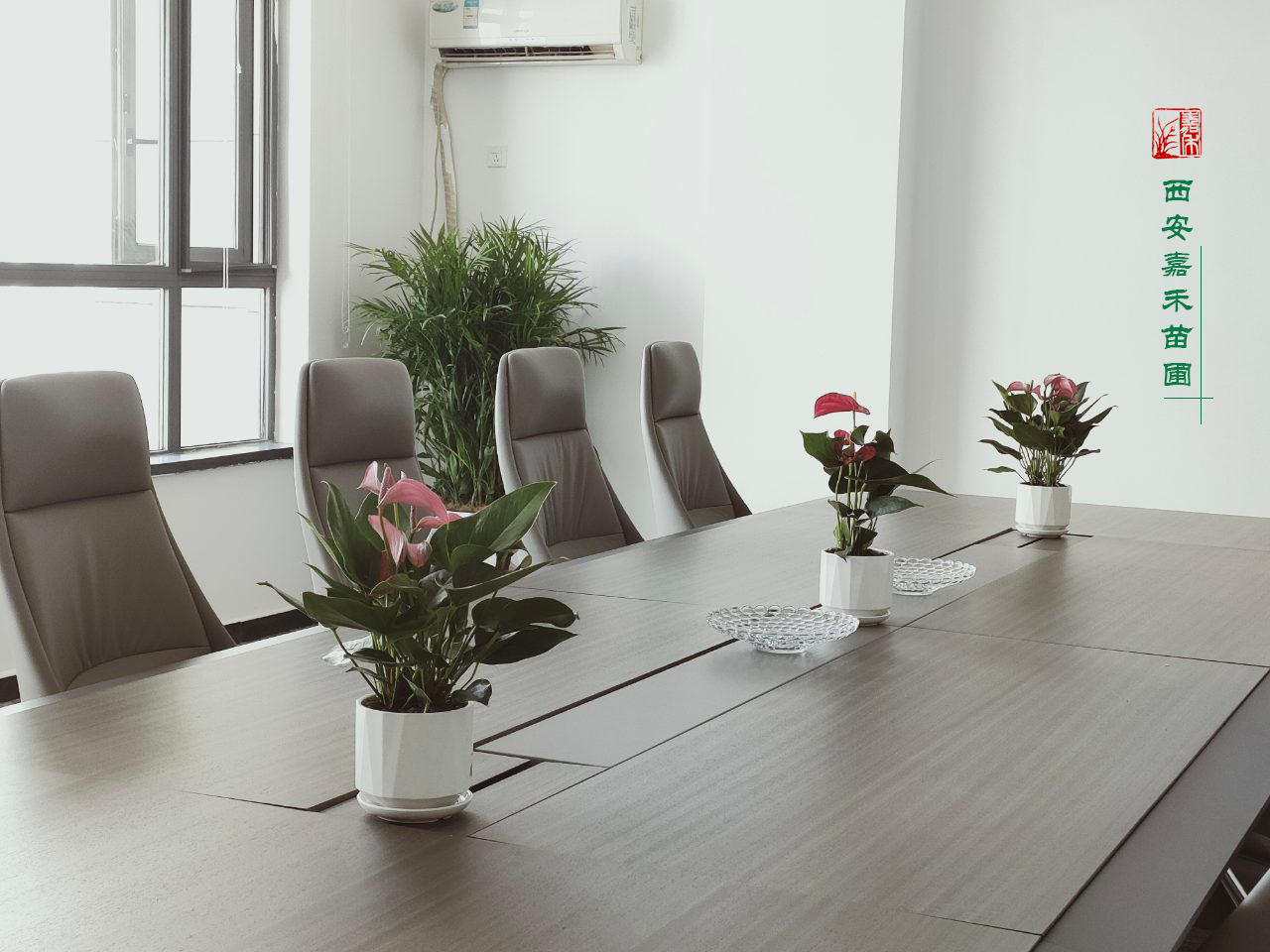 西安綠植租賃報價報大全|嘉禾苗圃