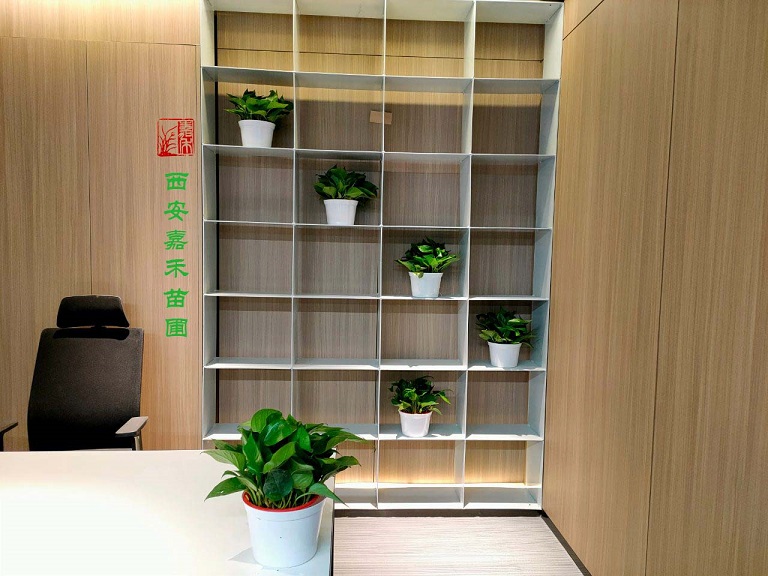 西安綠植租賃大全|嘉禾苗圃