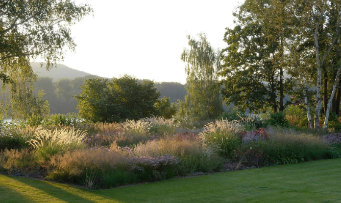 西安綠植租賃方案|嘉禾苗圃 西安綠植租賃方案|嘉禾苗圃