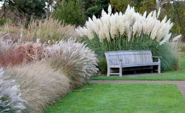 西安室外景觀方案|嘉禾苗圃 西安室外景觀方案|嘉禾苗圃