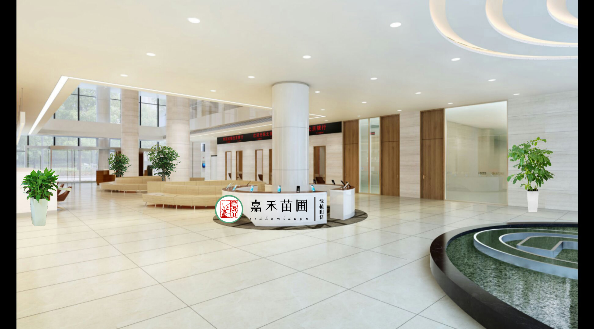 西安銀行綠植租賃效果圖|嘉禾苗圃