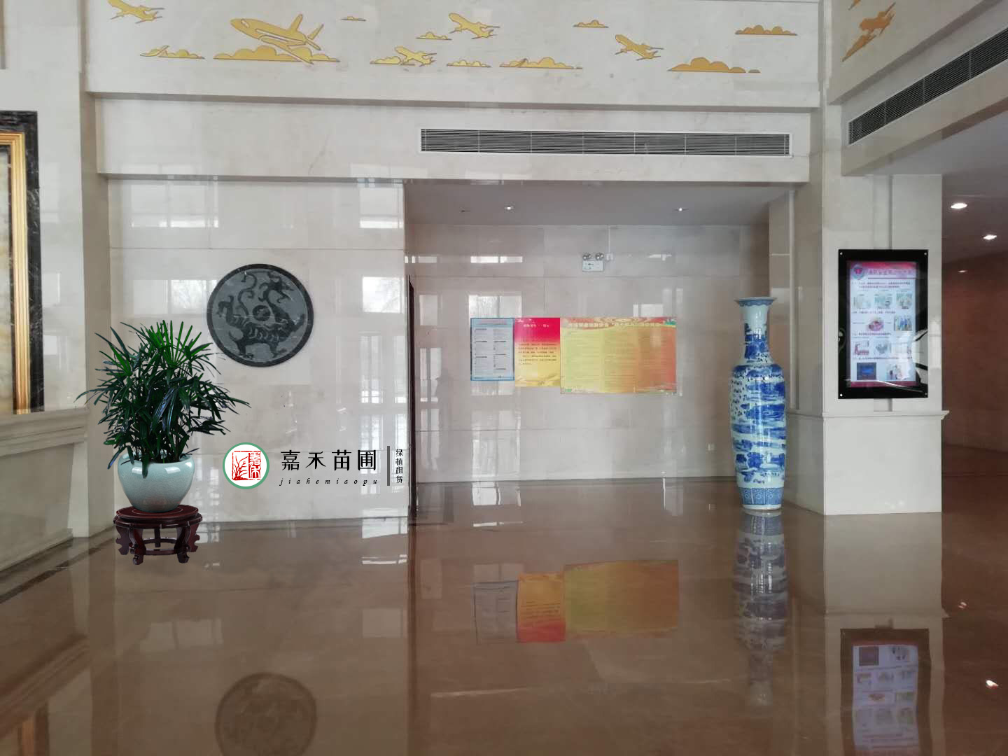 西安醫(yī)院綠植租賃效果圖|嘉禾苗圃