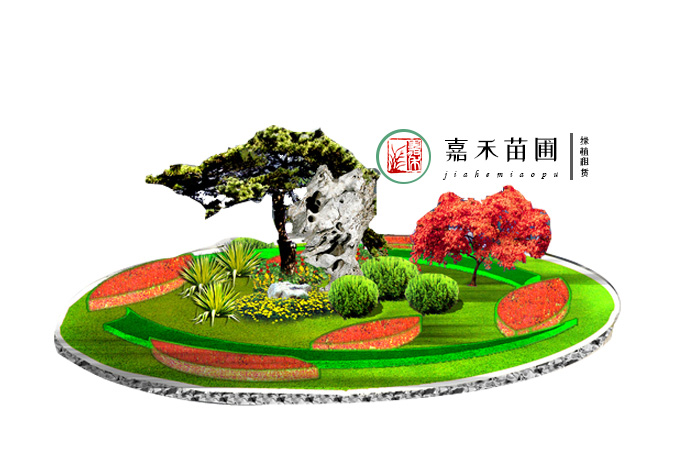 西安學校綠植租賃效果圖|嘉禾苗圃