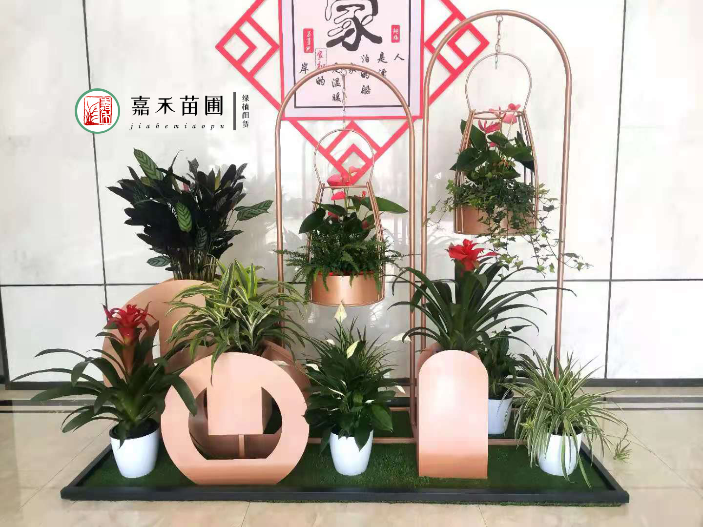 西安綠植租賃|嘉禾苗圃