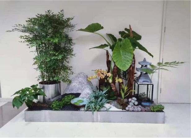 電梯廳入口墻綠植租擺方案|嘉禾苗圃 電梯廳入口墻綠植租擺方案|嘉禾苗圃