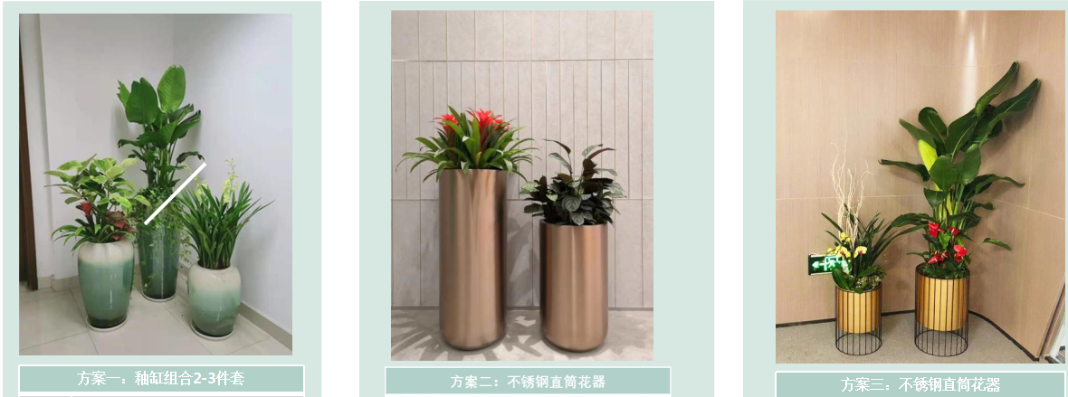 辦公區(qū)通道綠植租擺方案|嘉禾苗圃 辦公區(qū)通道綠植租擺方案|嘉禾苗圃