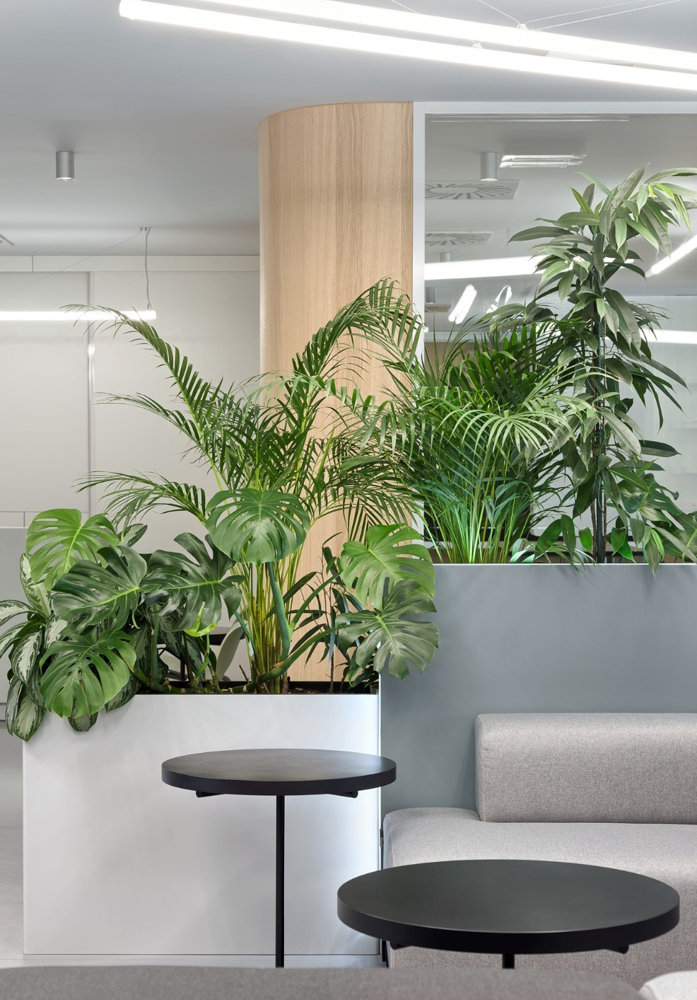 休閑區(qū)綠植租擺方案|嘉禾苗圃 休閑區(qū)綠植租擺方案|嘉禾苗圃