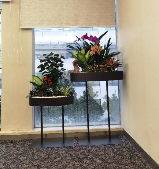 休閑區(qū)綠植租賃方案|西安嘉禾苗圃 休閑區(qū)綠植租賃方案|西安嘉禾苗圃