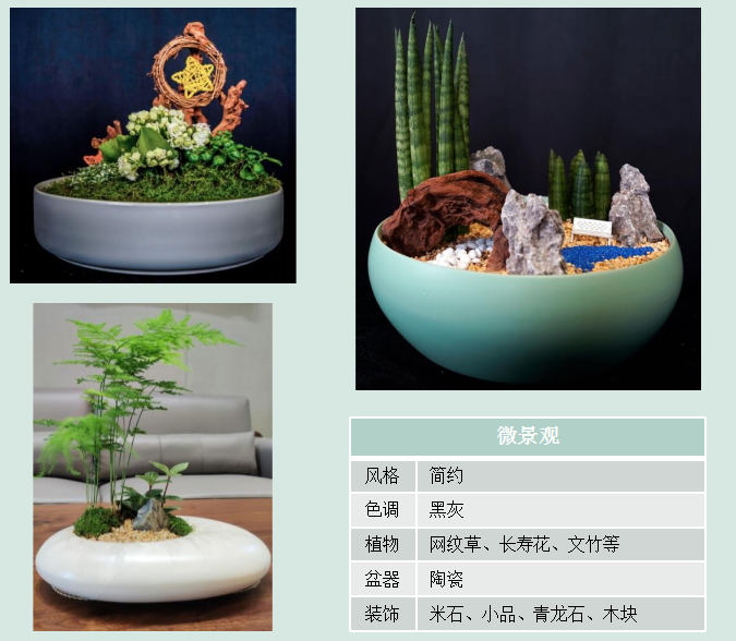 休閑區(qū)桌面擺放方案|嘉禾苗圃 休閑區(qū)桌面擺放方案|嘉禾苗圃