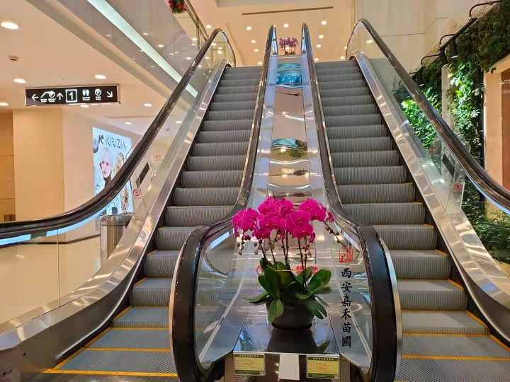 西安花卉租賃好寓意|西安嘉禾苗圃