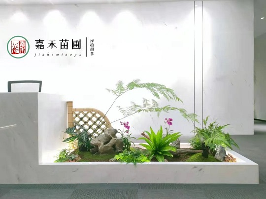 西安高端花卉租擺租賃|嘉禾苗圃 西安高端花卉租擺租賃|嘉禾苗圃