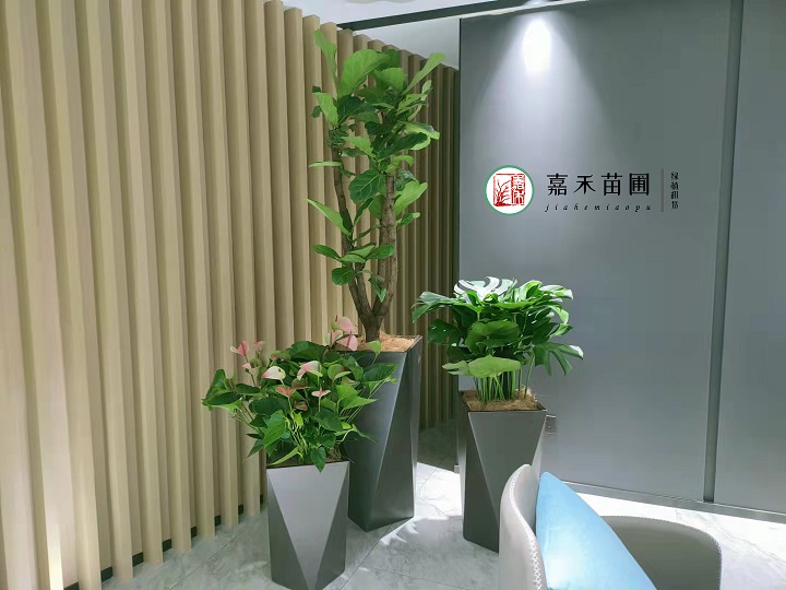 西安酒店花卉綠植租擺方案|嘉禾苗圃