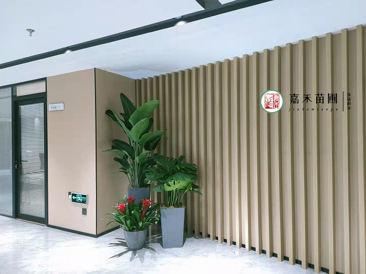 西安辦公室綠植租擺|嘉禾苗圃 西安辦公室綠植租擺|嘉禾苗圃