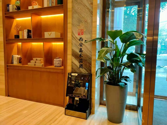 西安花卉租擺風(fēng)水|嘉禾苗圃