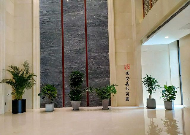 西安售樓部大廳花卉租擺|西安嘉禾苗圃 西安售樓部大廳花卉租擺|西安嘉禾苗圃