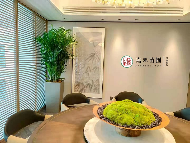 西安綠植租擺案例照片|嘉禾苗圃 西安綠植租擺案例照片|嘉禾苗圃