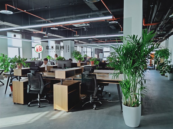 西安綠植花卉租擺公司|嘉禾苗圃 西安綠植花卉租擺公司|嘉禾苗圃