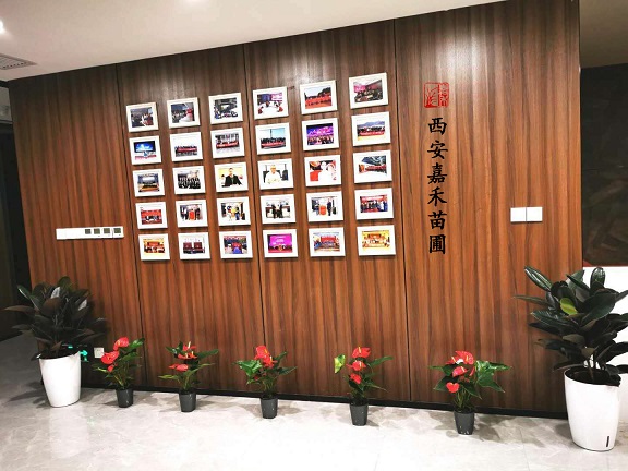 西安盆栽綠植租擺價格|嘉禾苗圃 西安盆栽綠植租擺價格|嘉禾苗圃