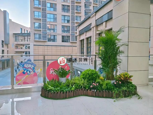 西安商場花堆造型方案|西安嘉禾苗圃