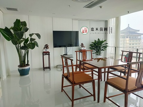 西安800平米辦公室綠植花卉租擺|嘉禾苗圃 西安800平米辦公室綠植花卉租擺|嘉禾苗圃