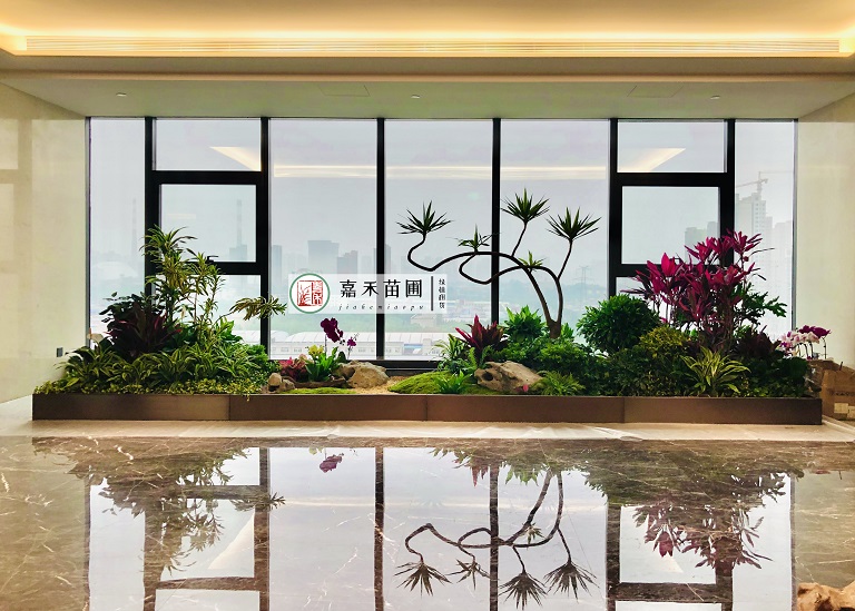 西安花卉綠植租賃定制設(shè)計(jì)|西安嘉禾苗圃