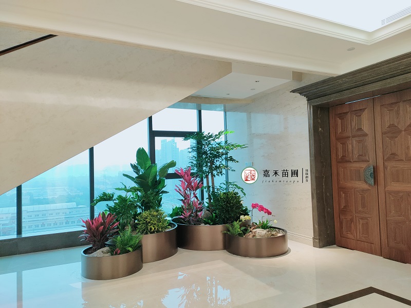 西安高端定制花卉綠植租賃|西安嘉禾苗圃