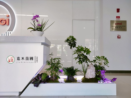 西安辦公室綠植租擺設(shè)計方案|西安嘉禾苗圃 西安辦公室綠植租擺設(shè)計方案|西安嘉禾苗圃