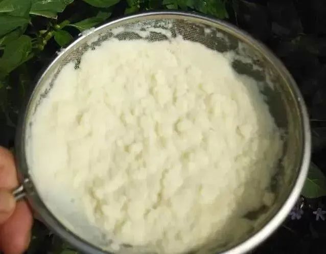 豆餅(渣)制作肥料|西安嘉禾苗圃 豆餅(渣)制作肥料|西安嘉禾苗圃