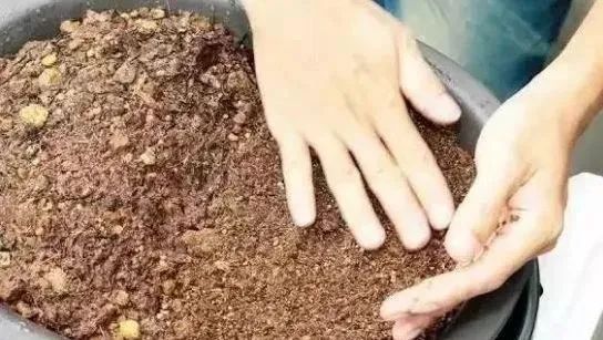 豆餅(渣)處理方式|西安嘉禾苗圃 豆餅(渣)處理方式|西安嘉禾苗圃