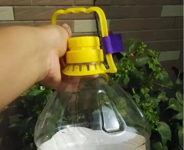 豆餅(渣)發(fā)酵方式|西安嘉禾苗圃 豆餅(渣)發(fā)酵方式|西安嘉禾苗圃