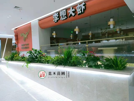 西安花卉租擺綠植租賃|西安嘉禾苗圃 西安花卉租擺綠植租賃|西安嘉禾苗圃