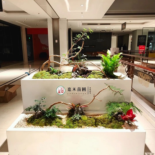 西安綠植租賃花境|西安嘉禾苗圃 西安綠植租賃花境|西安嘉禾苗圃