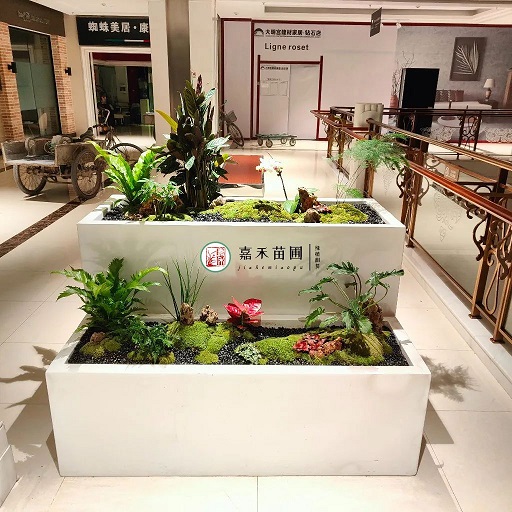 西安花卉綠植租賃|西安嘉禾苗圃 西安花卉綠植租賃|西安嘉禾苗圃