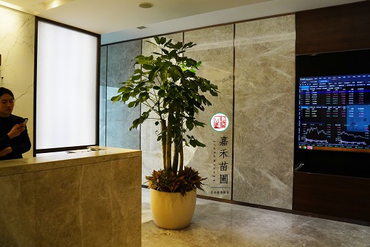 西安辦公室綠植租賃|西安嘉禾苗圃 西安辦公室綠植租賃|西安嘉禾苗圃