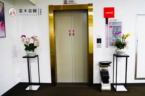 輕奢辦公室綠植租賃|西安嘉禾苗圃 輕奢辦公室綠植租賃|西安嘉禾苗圃