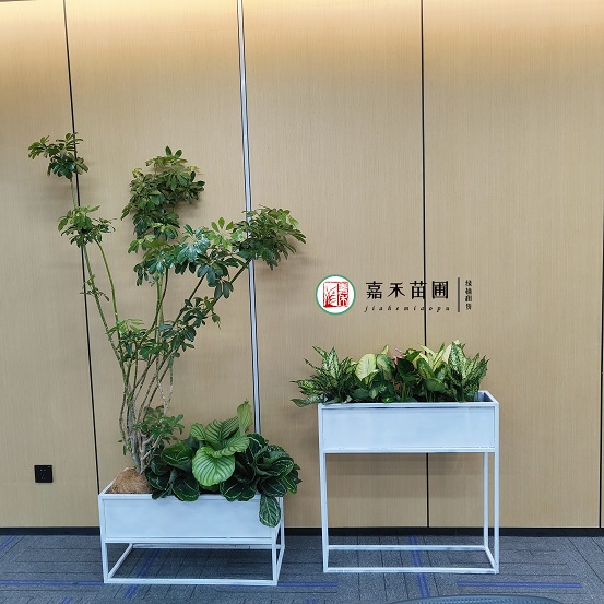 /UploadFiles/image/2023-06-19/648fbb3f5196a.jpg 20230530081545.jpg