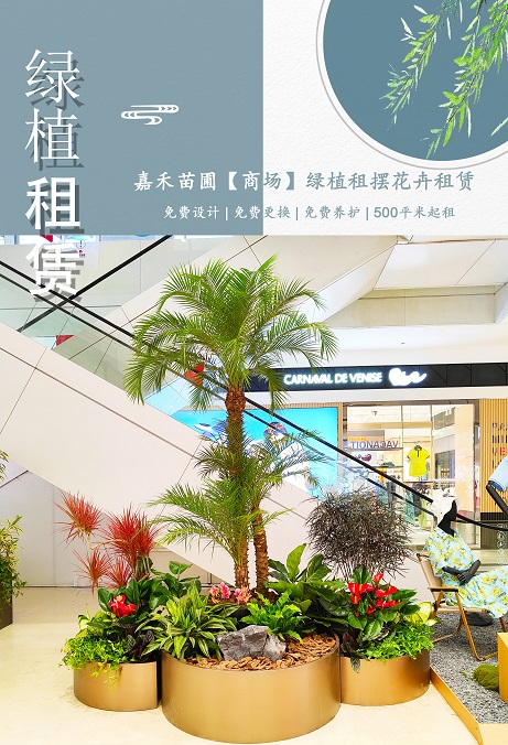 西安商場(chǎng)花卉綠植租賃設(shè)計(jì)|西安嘉禾苗圃 西安商場(chǎng)花卉綠植租賃設(shè)計(jì)|西安嘉禾苗圃