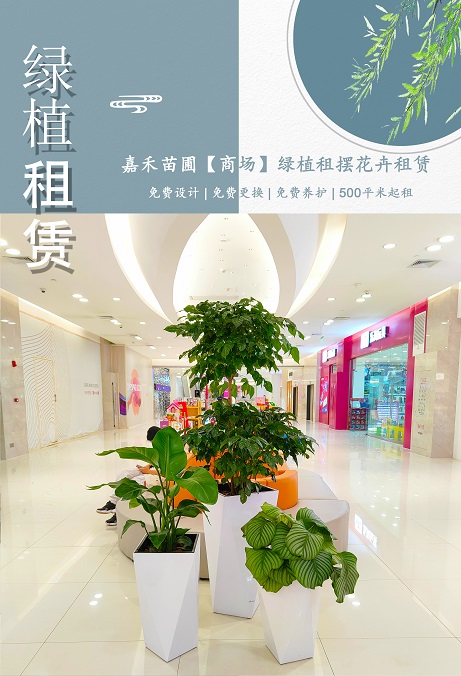 西安商場(chǎng)花卉綠植租賃公司|西安嘉禾苗圃 西安商場(chǎng)花卉綠植租賃公司|西安嘉禾苗圃