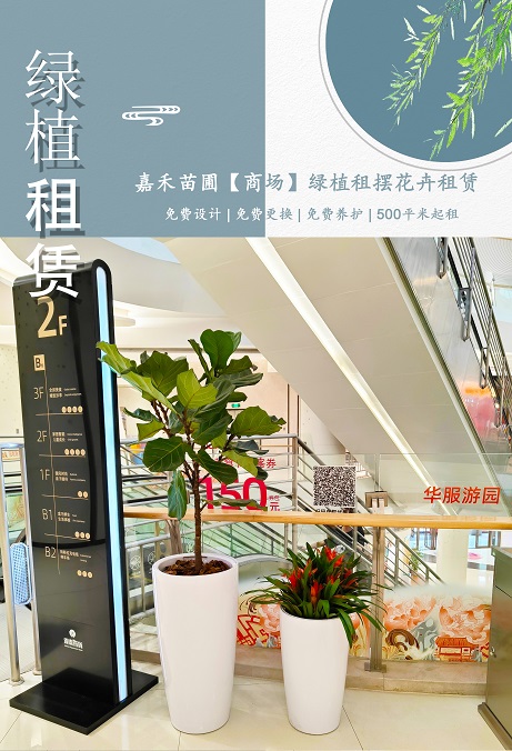 西安商場(chǎng)花卉綠植租賃商家|西安嘉禾苗圃 西安商場(chǎng)花卉綠植租賃商家|西安嘉禾苗圃