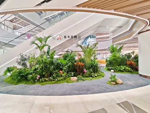 西安綠植租擺方案|西安嘉禾苗圃 西安綠植租擺方案|西安嘉禾苗圃