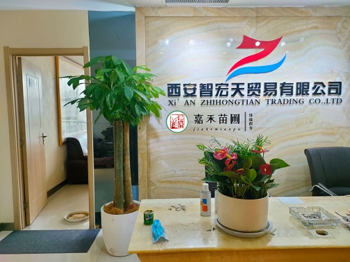 辦公室花卉租擺公司|西安嘉禾苗圃 辦公室花卉租擺公司|西安嘉禾苗圃