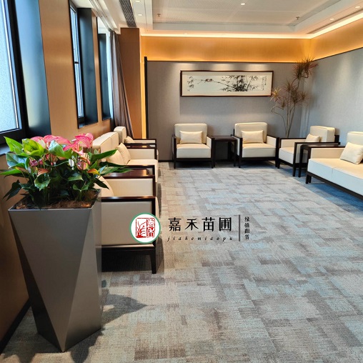 西安植物租賃公司|西安嘉禾苗圃