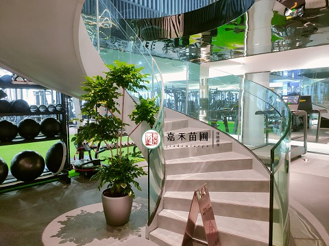 西安綠植租賃|西安嘉禾苗圃 西安綠植租賃|西安嘉禾苗圃