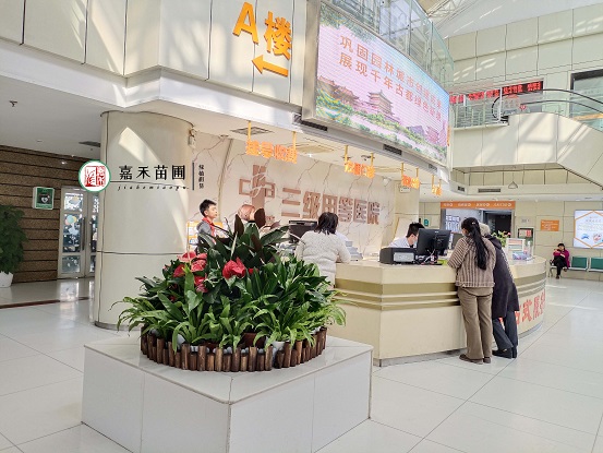 西安醫(yī)院綠植租擺|西安嘉禾苗圃 西安醫(yī)院綠植租擺|西安嘉禾苗圃