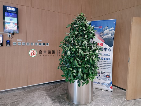 綠植租擺公司|西安嘉禾苗圃 綠植租擺公司|西安嘉禾苗圃