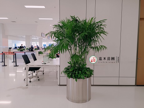 綠植租擺公司電話|15202909185西安嘉禾苗圃 綠植租擺公司電話|15202909185西安嘉禾苗圃