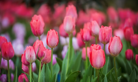 /UploadFiles/image/2024-04-03/660cc61e46f42.png QQ截圖20240403105941.png