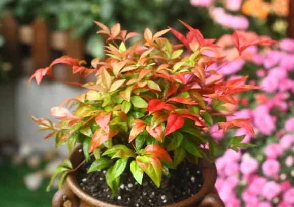 /UploadFiles/image/2024-04-08/6613455a2fdbf.png QQ截圖20240408091607.png