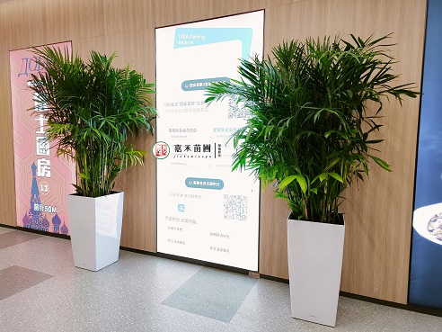 西安薈聚綠植租賃價(jià)格|西安嘉禾苗圃